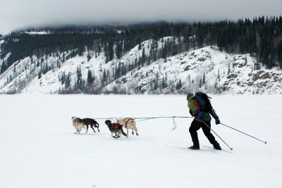 Darryl Sheepway from Whitehorse, YT heads out during the second day of the skijor race with his 4-dog team.